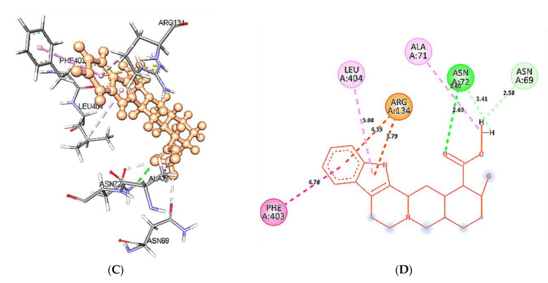 Figure 13