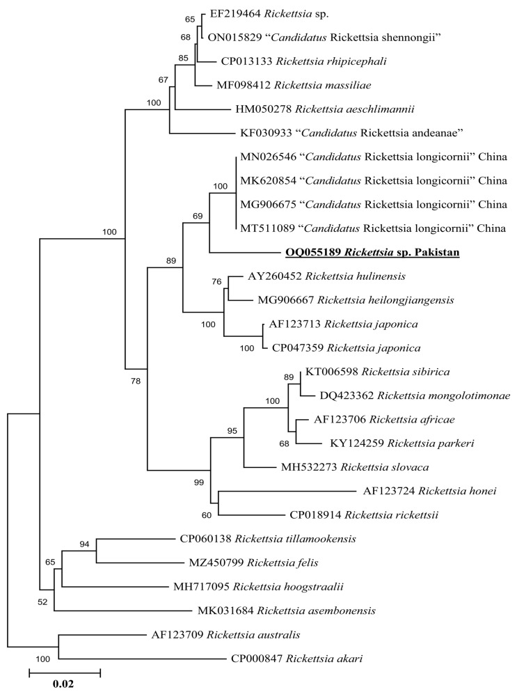 Figure 7