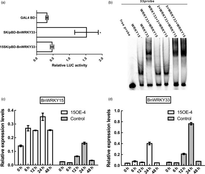 Figure 12