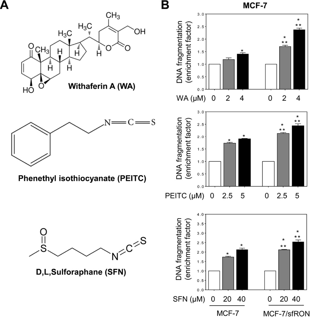 Fig 7