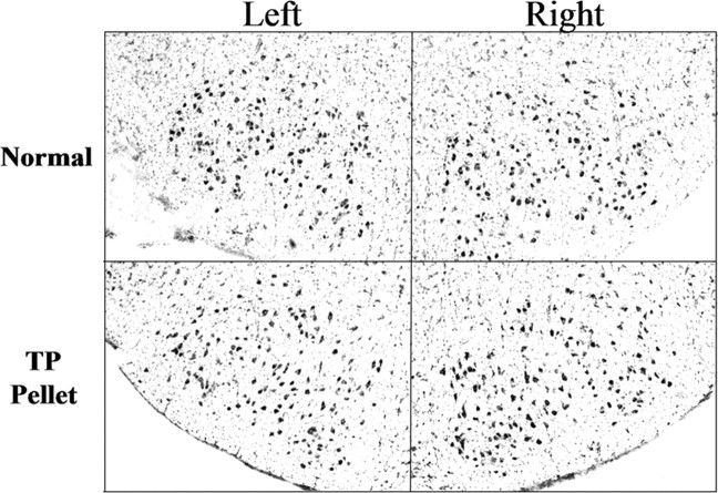 
Figure 10.
