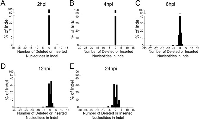 Figure 5—figure supplement 1.