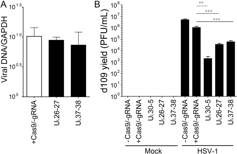 Figure 8—figure supplement 1.