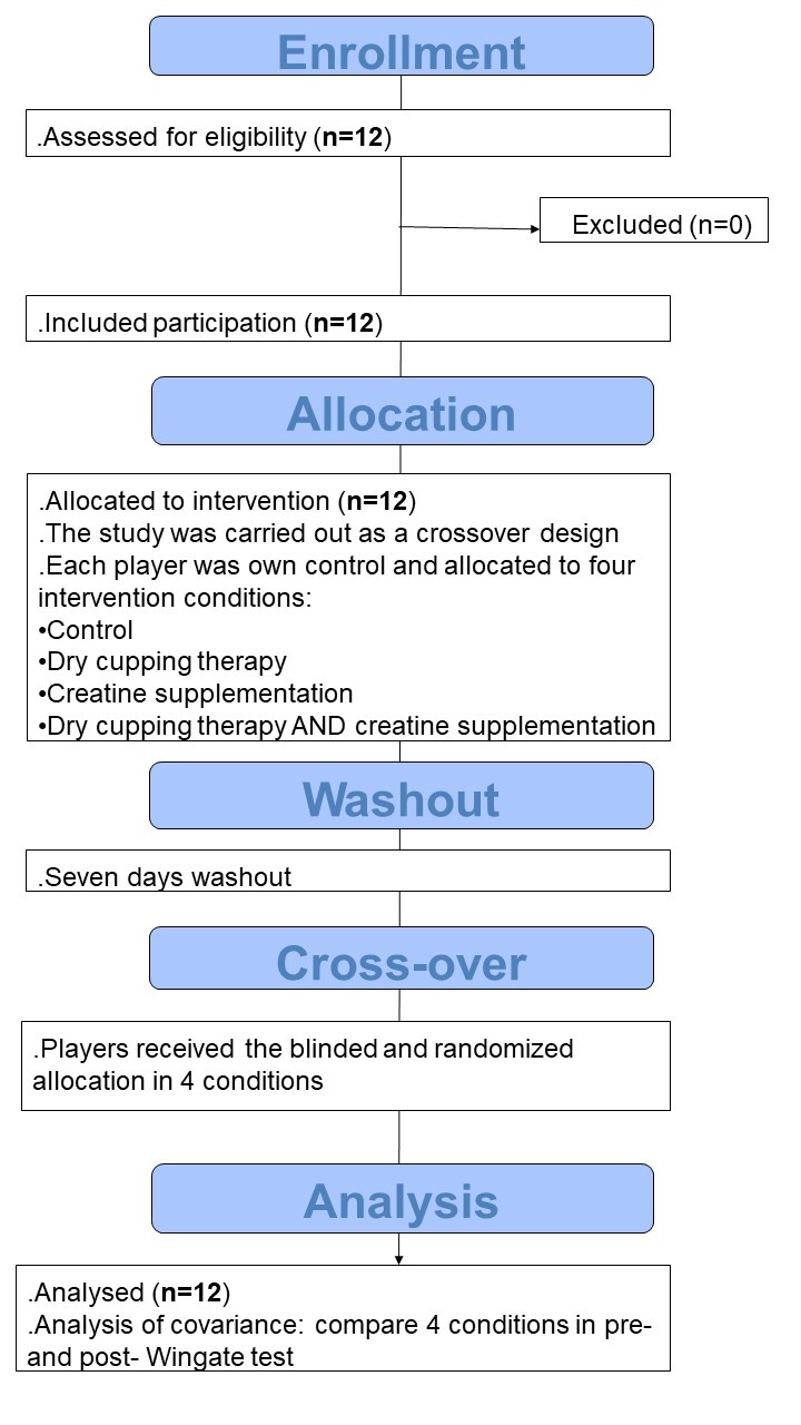 Figure 1. Study procedures