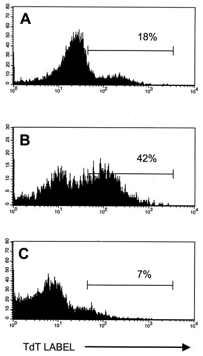 FIG. 5