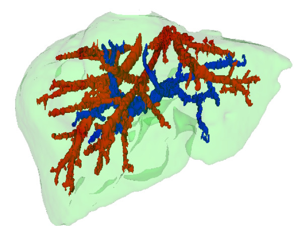 Figure 13