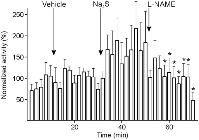 Figure 7