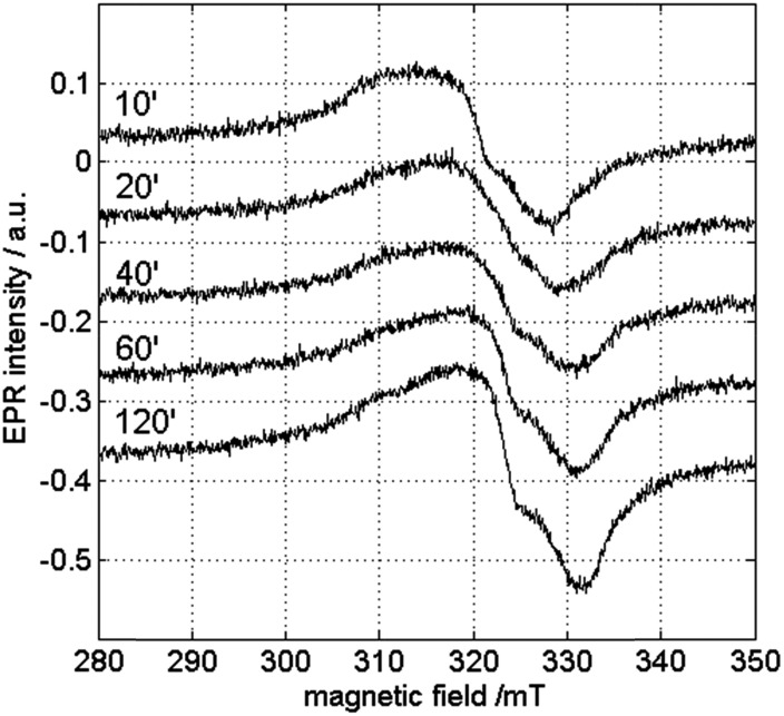 Fig. 8