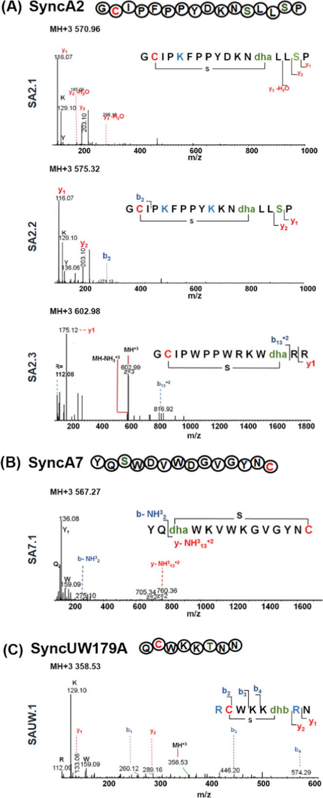 Figure 5