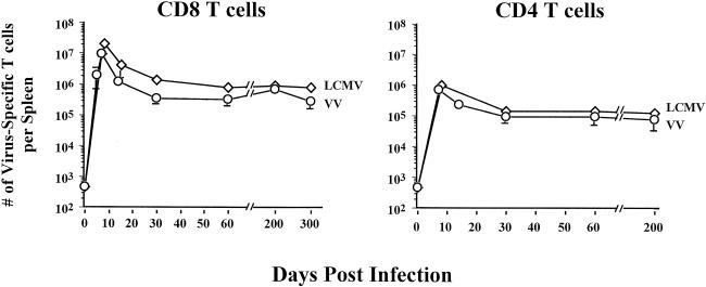 FIG. 7.