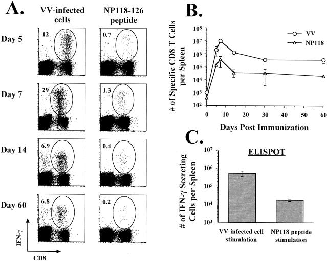 FIG. 8.