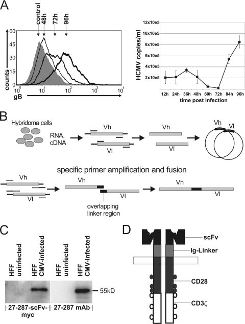 FIG. 1.