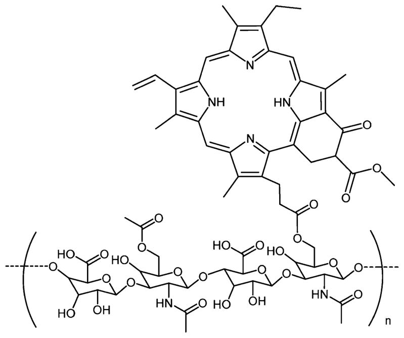 Figure 24