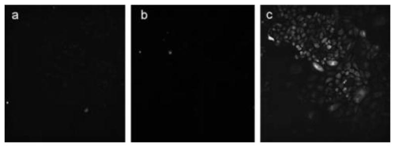 Figure 39