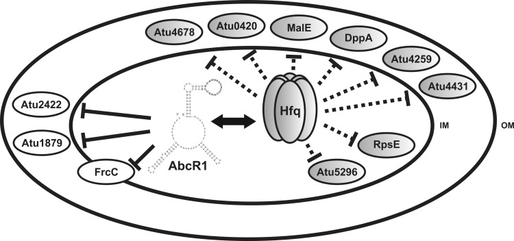 Fig 8