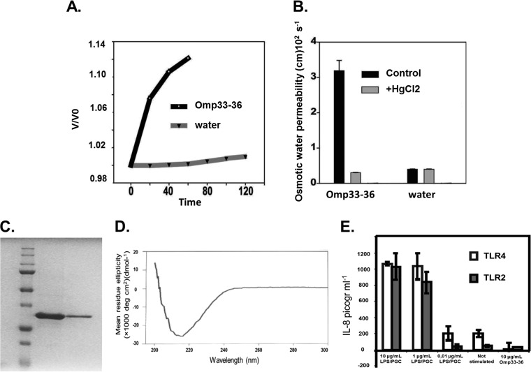 FIG 1