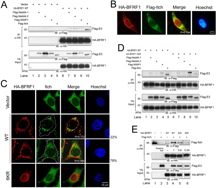 FIG 6