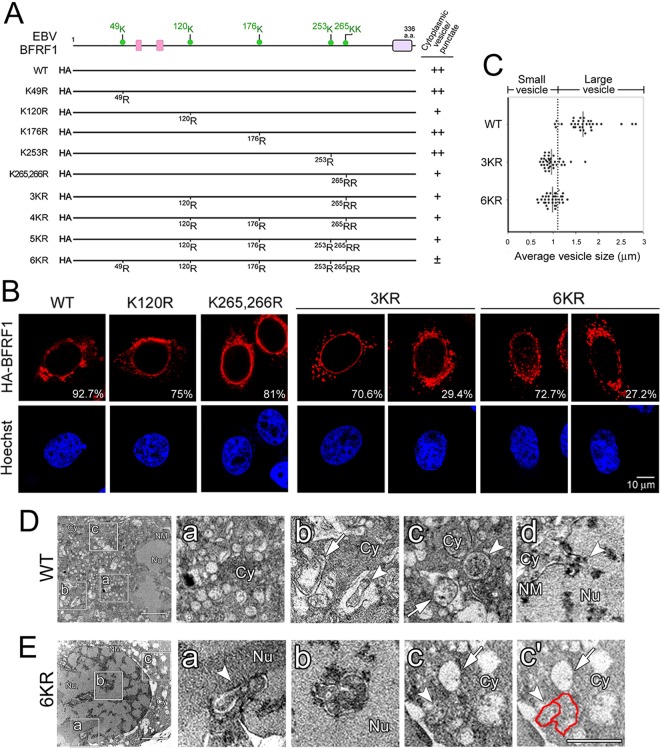 FIG 4