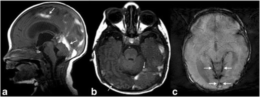 Fig. 8