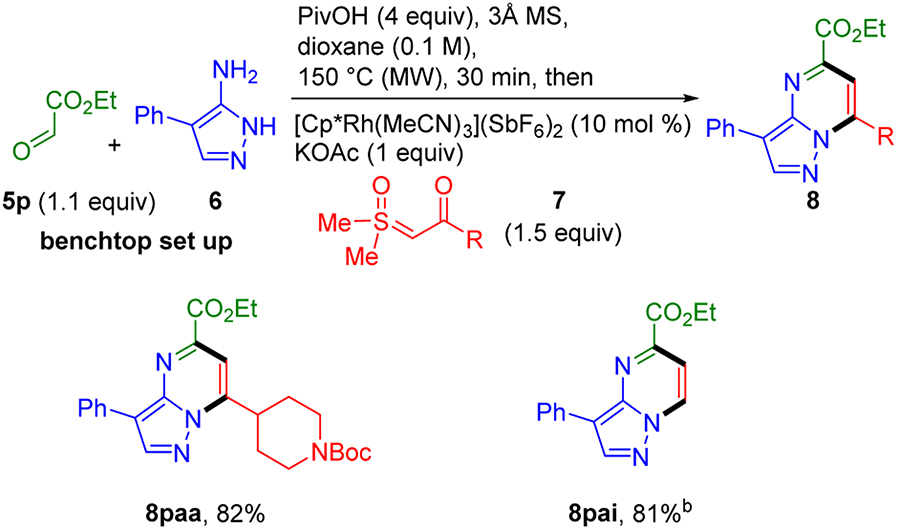 Scheme 6.