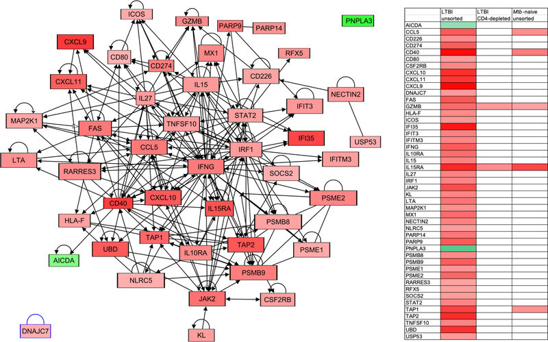 Figure 6: