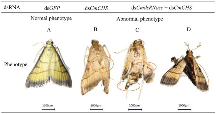 Figure 13