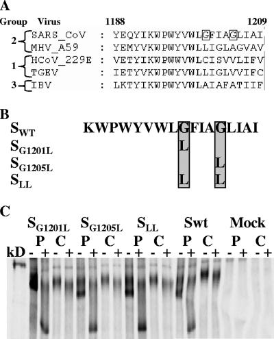 FIG. 1.