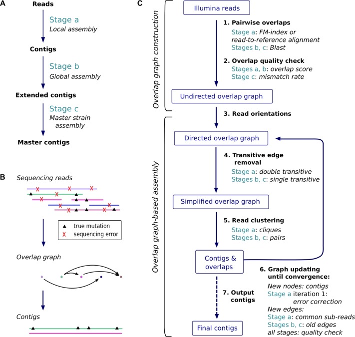 Figure 1.