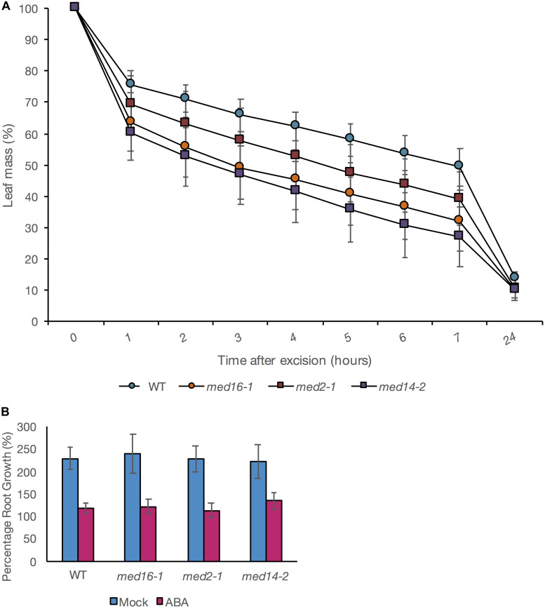 FIGURE 4