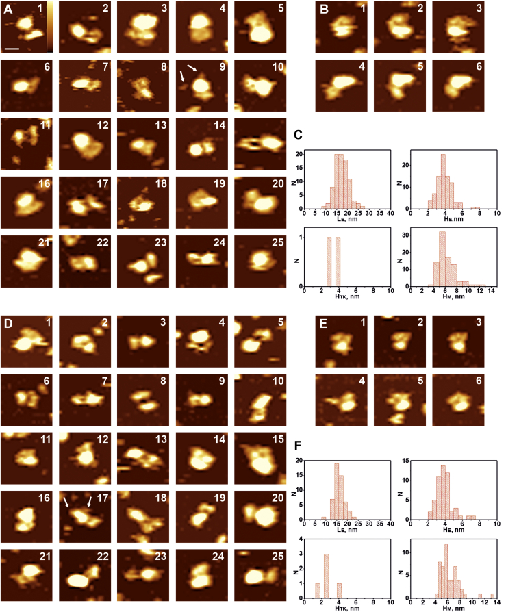 Figure 3