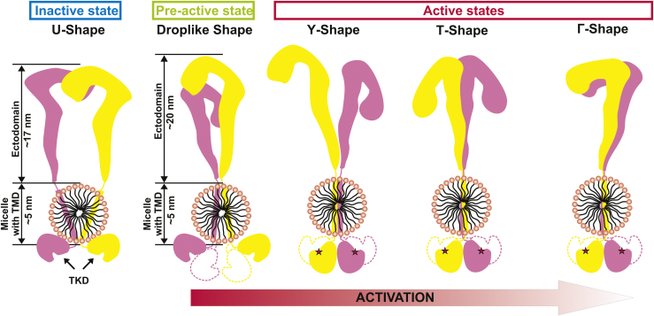 Figure 7