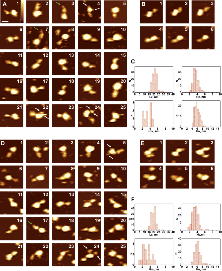 Figure 4