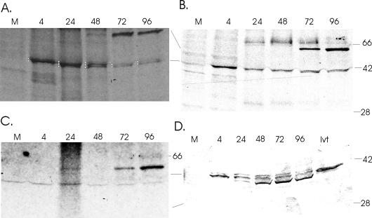 FIG. 3.