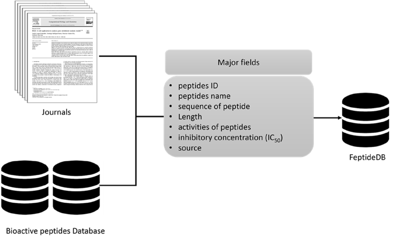 Fig. 1