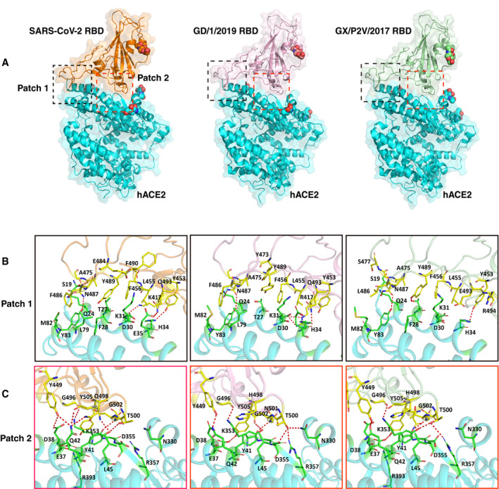 Figure 4