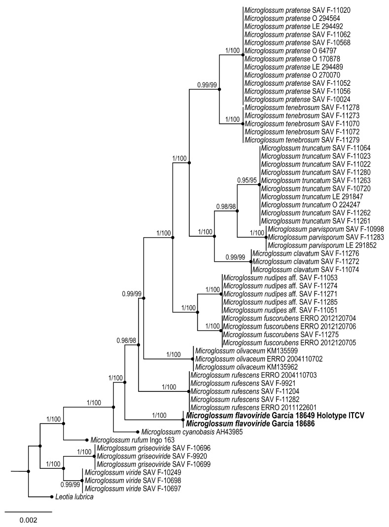 Figure 6