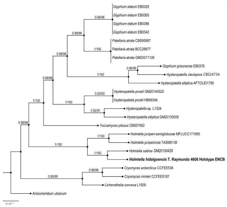 Figure 2