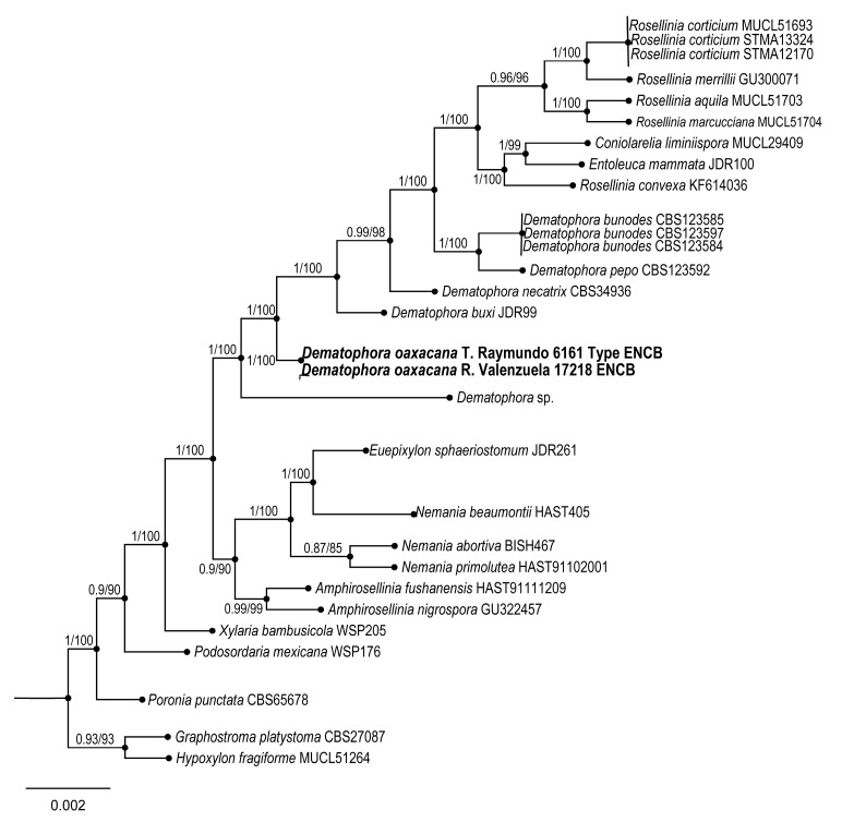 Figure 12