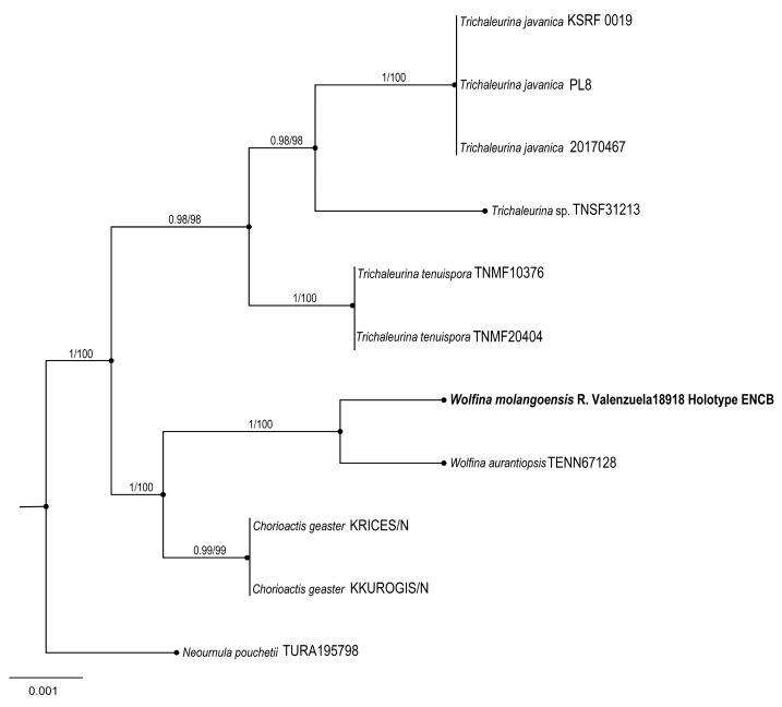 Figure 10