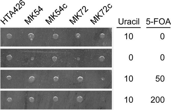 Fig 4