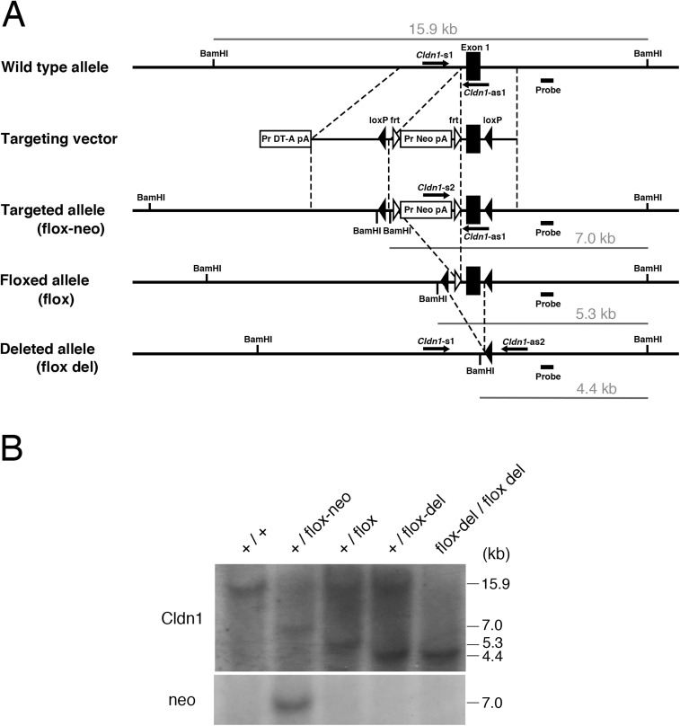 Fig. S1.