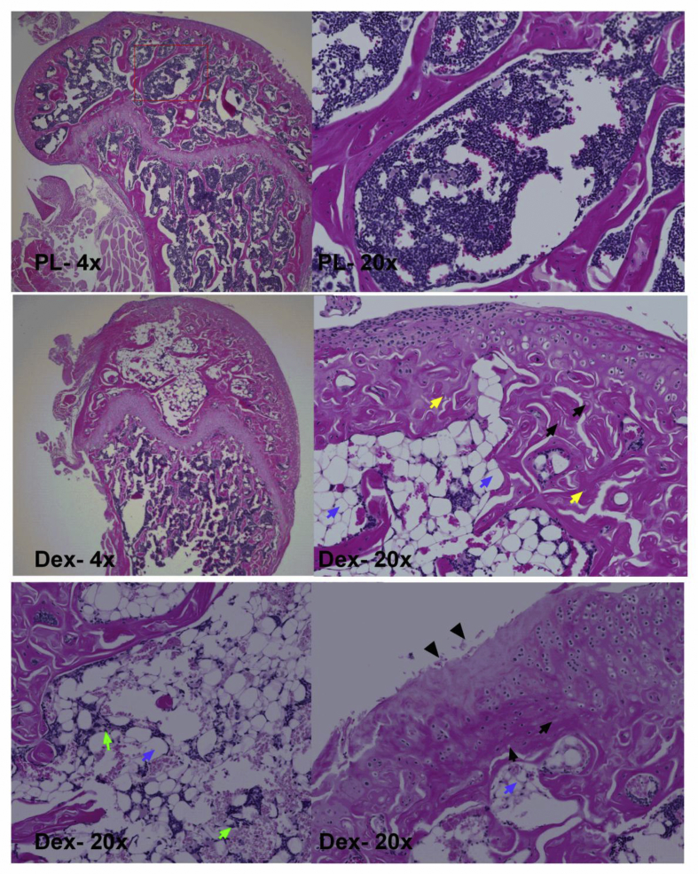 Figure 4