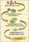 Fig 7