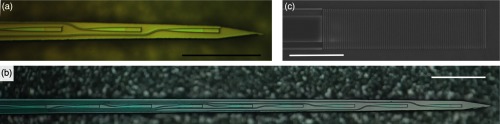 Fig. 10