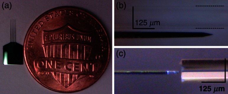 Fig. 9