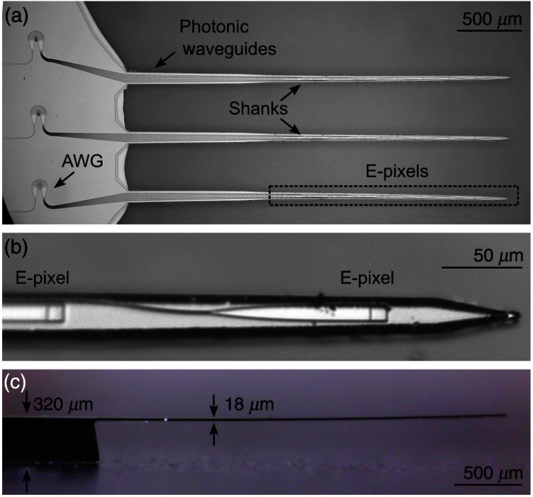 Fig. 1