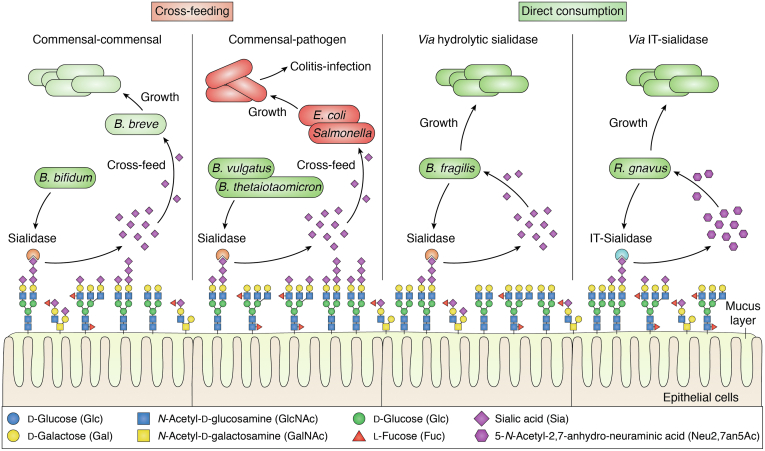 Figure 2