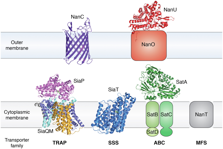 Figure 4