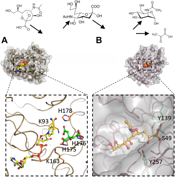 Figure 6