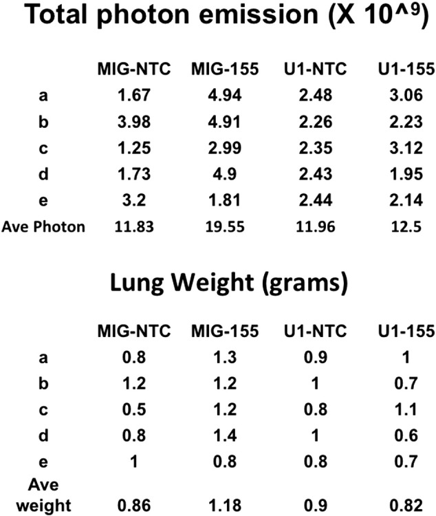 Supplemental Figure S4